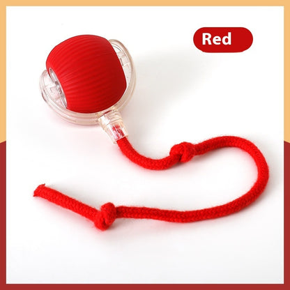 Fetch Frenzy: Interactive Pet Toy