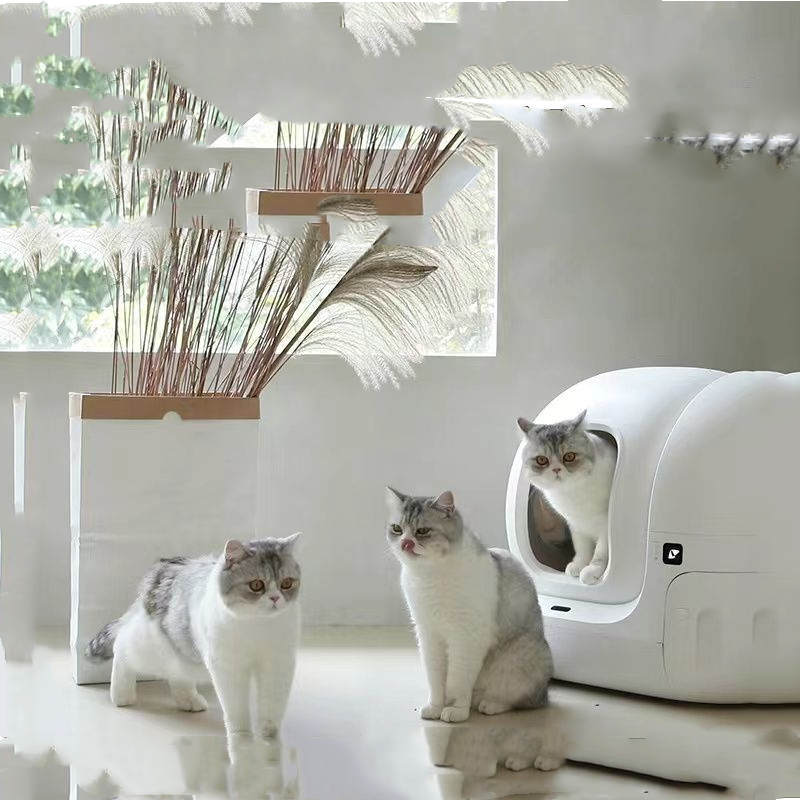 Smart Automatic Cat Litter Box