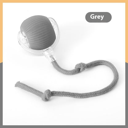 Fetch Frenzy: Interactive Pet Toy