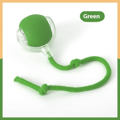 Fetch Frenzy: Interactive Pet Toy