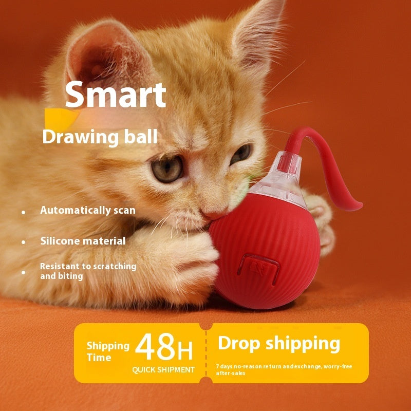 Fetch Frenzy: Interactive Pet Toy