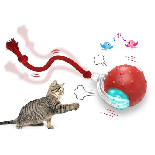 Fetch Frenzy: Interactive Pet Toy